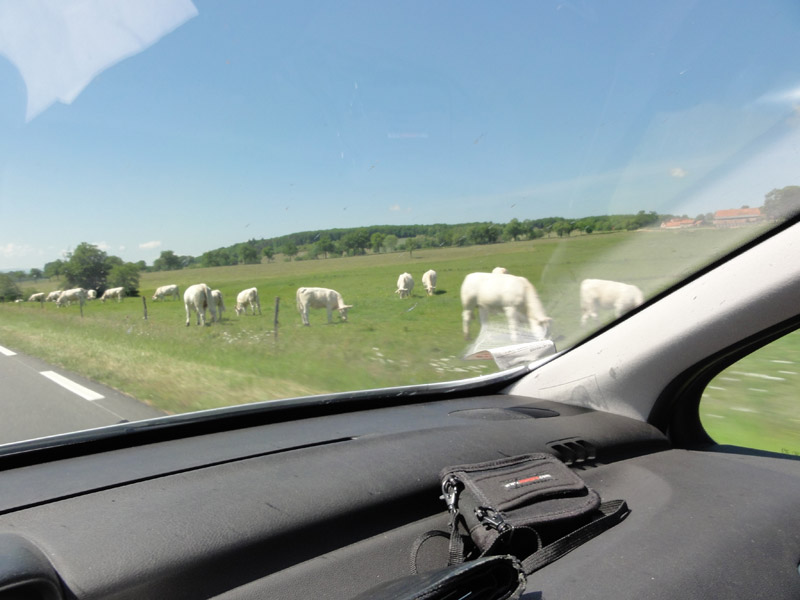 site de rencontre pour la beauce